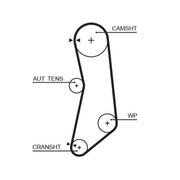 Gates Timing Belt Cambelt 125 Teeth 5626XS