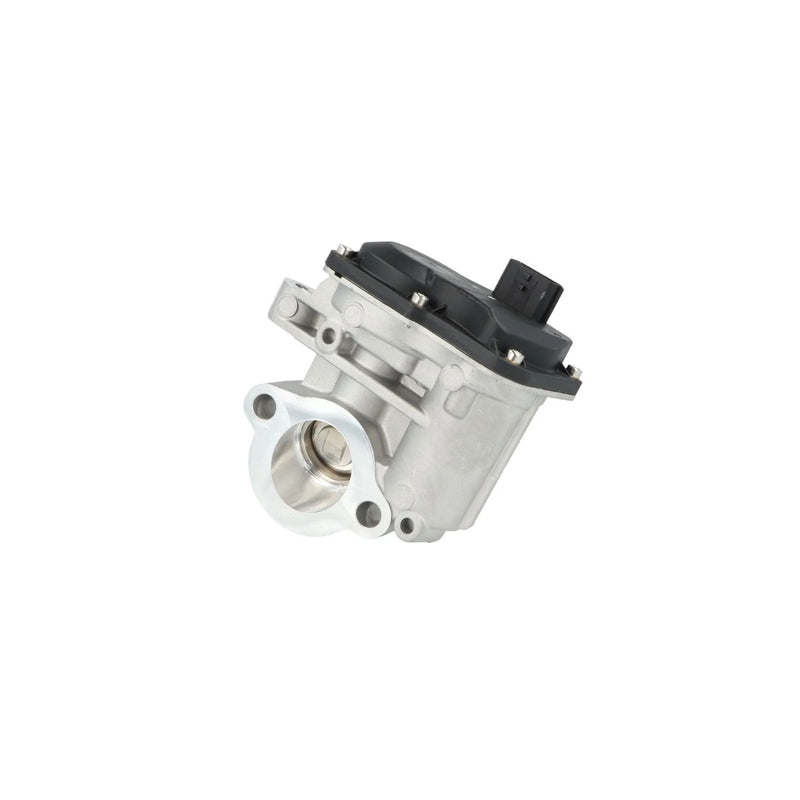 NRF Exhaust Gas Recirculation Valve 48740