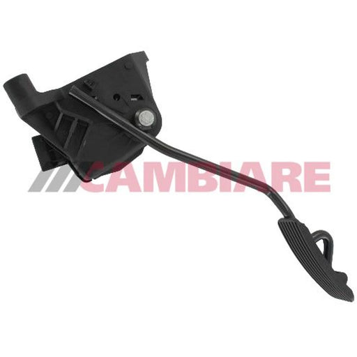 Cambiare Accelerator Pedal Position Sensor VE378054