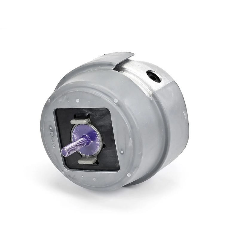 Delphi Engine Mount Mounting Front TEM234