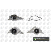 BGA Engine Cooling Water Pump CP18820