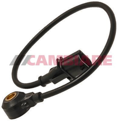 Cambiare Engine Knock Sensor VE369018