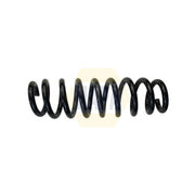 NAPA Rear Suspension Coil Spring NCS1884