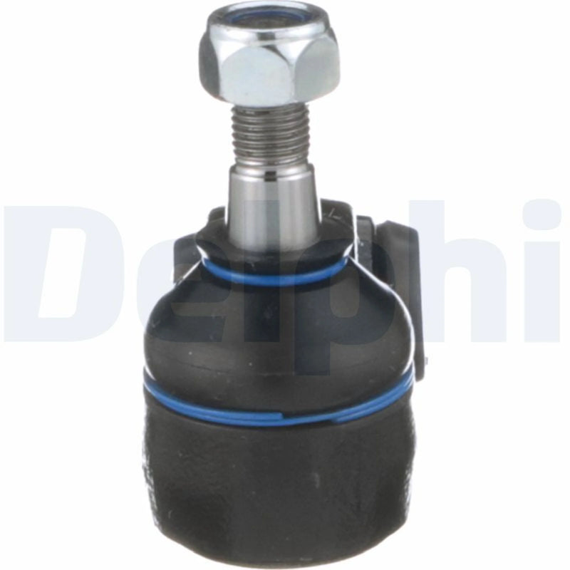 Delphi Control/Trailing Arm Lower TC176