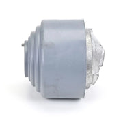 Delphi Engine Mount Mounting Front TEM134