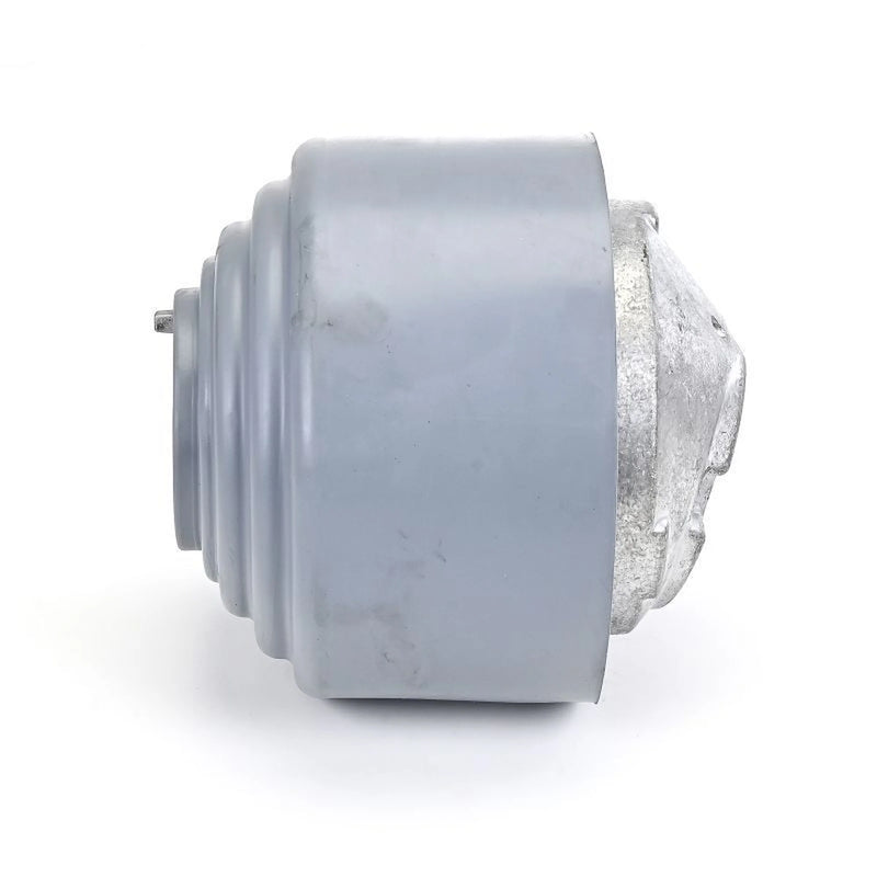 Delphi Engine Mount Mounting Front TEM134