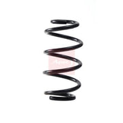 Apec Rear Suspension Coil Spring ACS2264