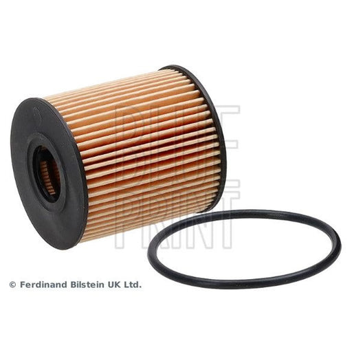 Blue Print Engine Oil Filter ADF122102