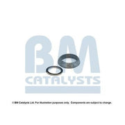 BM Catalysts Fitting Kit FK11072A FK11072A