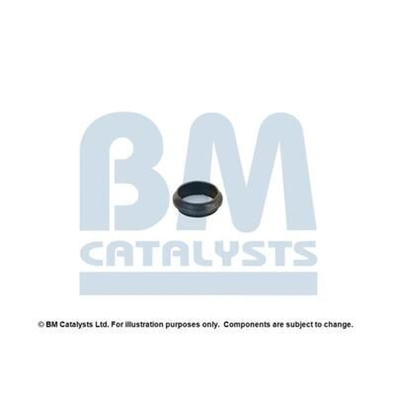 BM Catalysts Fitting Kit FK90168A FK90168A