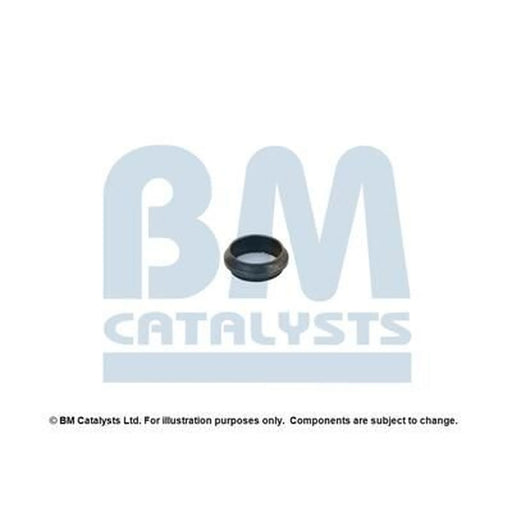 BM Catalysts Fitting Kit FK90070A FK90070A