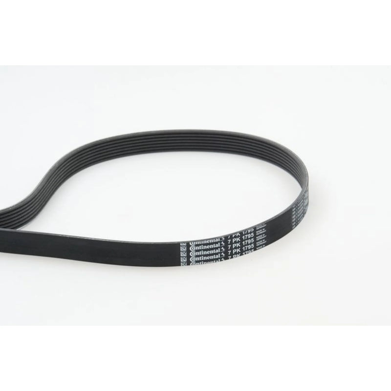 Continental CTAM Multi V-Ribbed Drive Belt 7PK1795