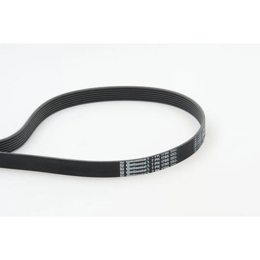 Continental CTAM Multi V-Ribbed Drive Belt 7PK1795