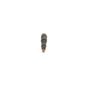 Bosch Injector Nozzle & Holder Assembly 0 432 191 387