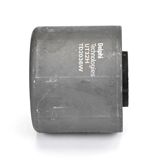 Delphi Wishbone / Control / Trailing Arm Bush TD2036W