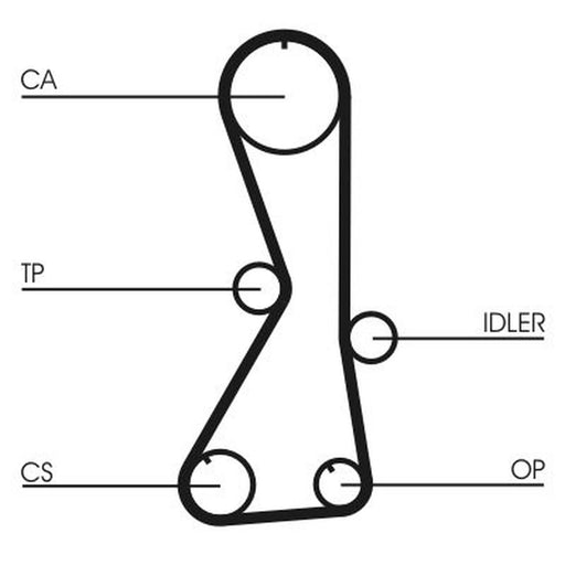 Continental CTAM Timing Belt Cambelt 122 Teeth CT1016
