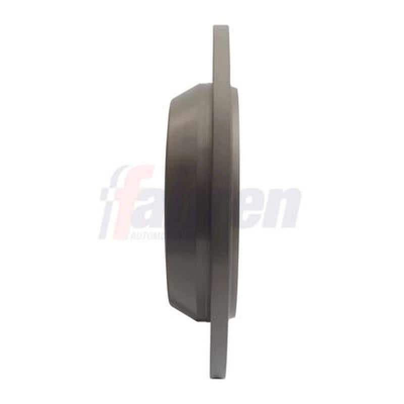 Fahren 2 x Solid Rear Brake Discs FBD6443-x2