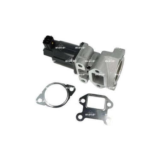 NRF Exhaust Gas Recirculation Valve 48675