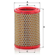 MANN-FILTER Engine Air Filter C 1134/1