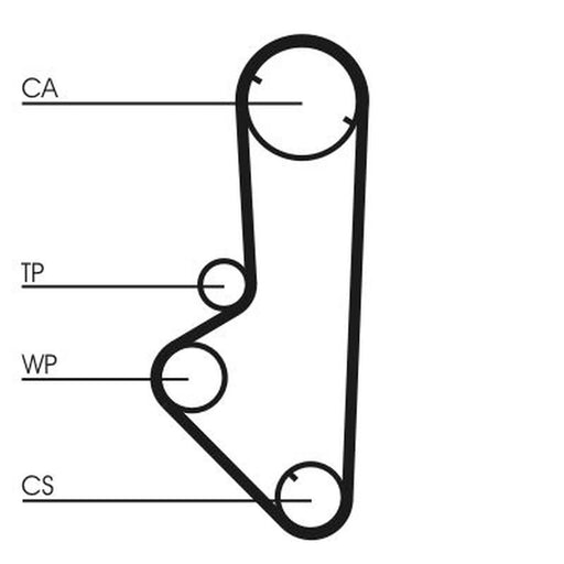 Continental CTAM Timing Belt Cambelt 126 Teeth CT707