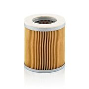 MANN-FILTER Engine Air Filter C 75/2