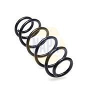 NAPA Rear Suspension Coil Spring NCS2431