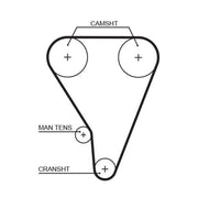 Gates Timing Belt Cambelt 113 Teeth 5117XS