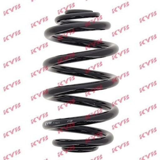KYB Rear Suspension Coil Spring RJ6641