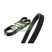BGA Multi V-Ribbed Drive Belt 3PK796E