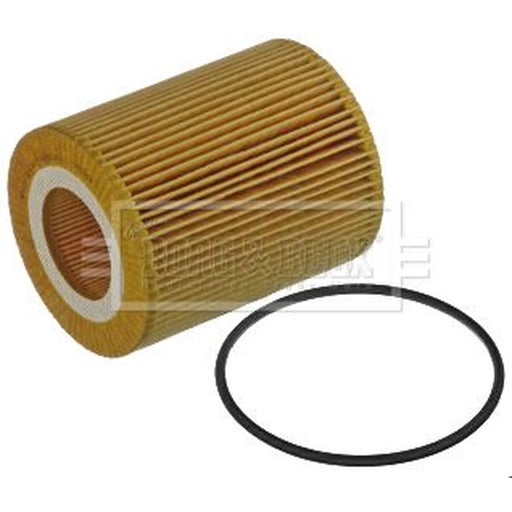 Borg & Beck Engine Oil Filter BFO4193