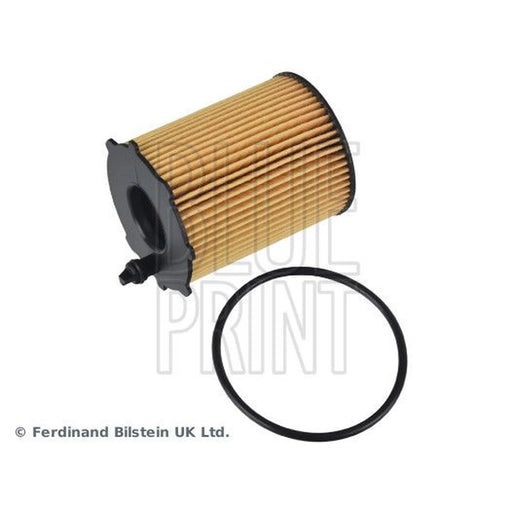 Blue Print Engine Oil Filter ADM52119