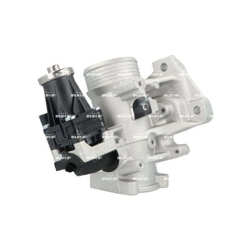 NRF Exhaust Gas Recirculation Valve 48738