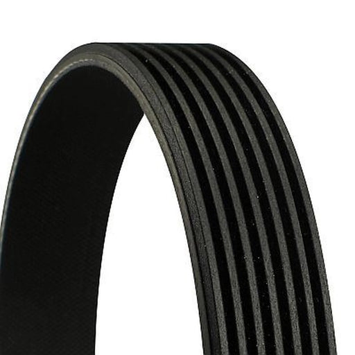 Continental CTAM Multi V-Ribbed Drive Belt 7PK880
