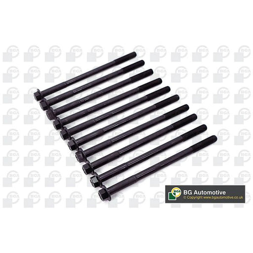 BGA Cylinder Head Bolt Set M10 BK4359