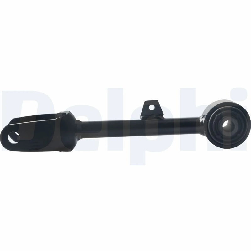 Delphi Control/Trailing Arm Rear TC4595