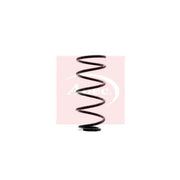 Apec Rear Suspension Coil Spring ACS1357