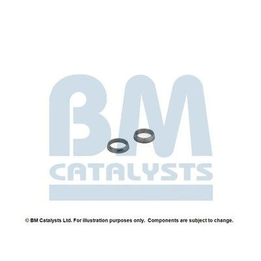 BM Catalysts Fitting Kit FK80552A FK80552A