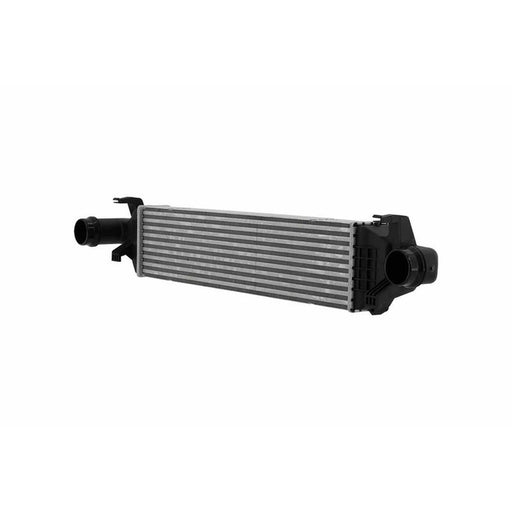 Hella Intercooler (Charge Air Cooler) 8ML 366 471-021
