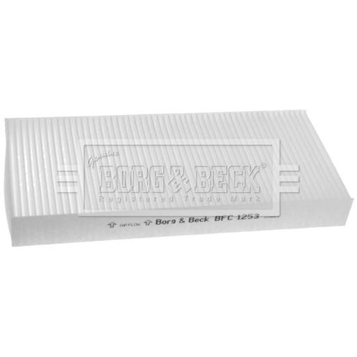 Borg & Beck Cabin Air Filter (Pollen Filter) BFC1253