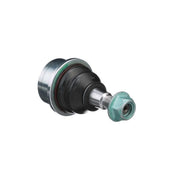 Delphi Ball Joint Lower TC3643