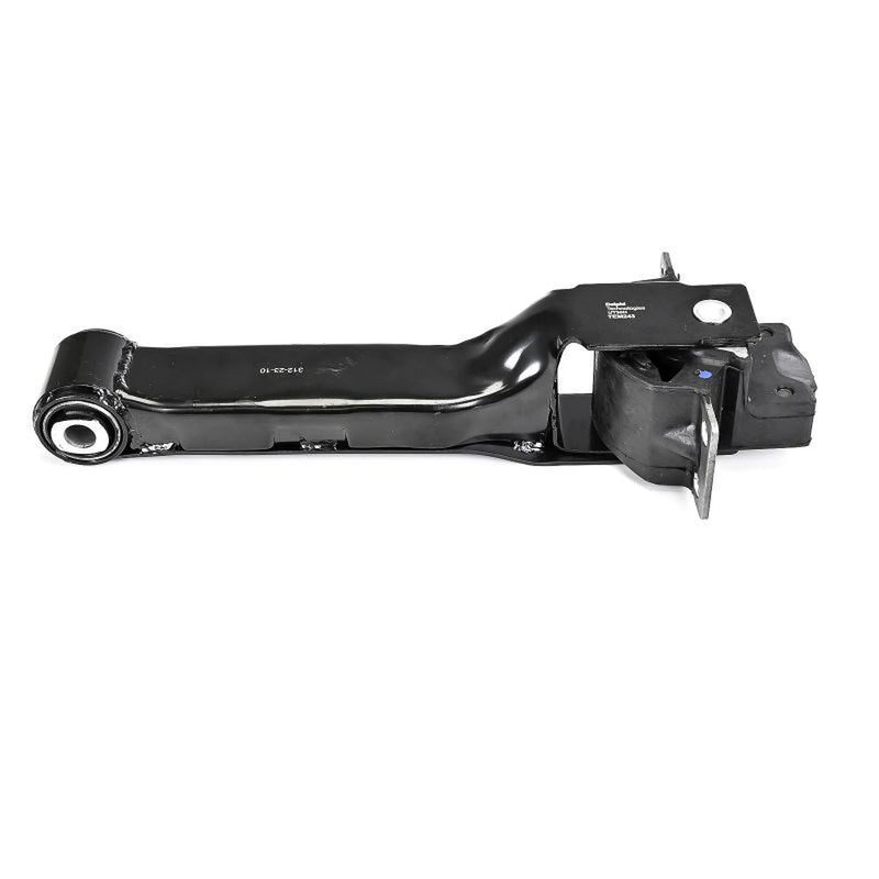 Delphi Engine Mount Mounting Rear TEM243