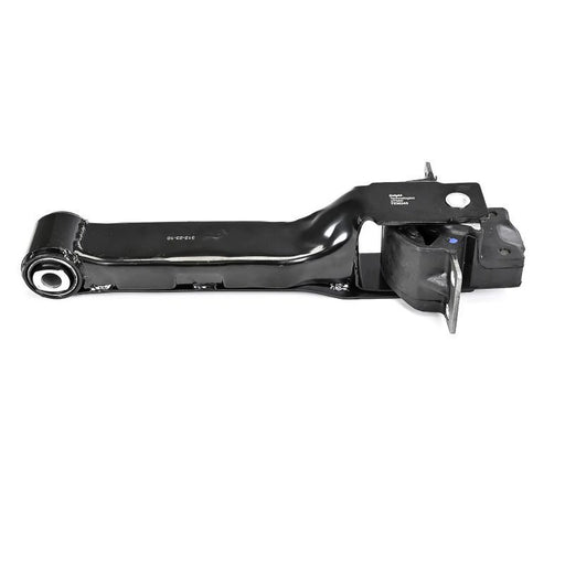 Delphi Engine Mount Mounting Rear TEM243