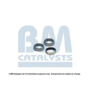 BM Catalysts Fitting Kit FK90544A FK90544A