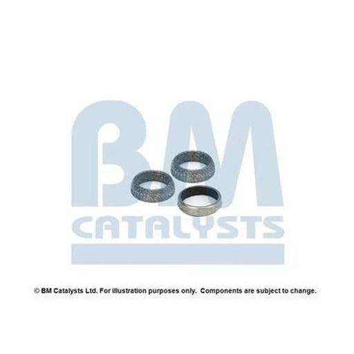 BM Catalysts Fitting Kit FK90544A FK90544A