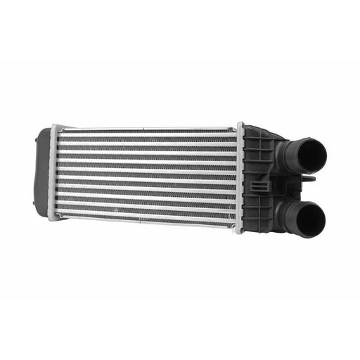 Hella Intercooler (Charge Air Cooler) 8ML 366 340-621