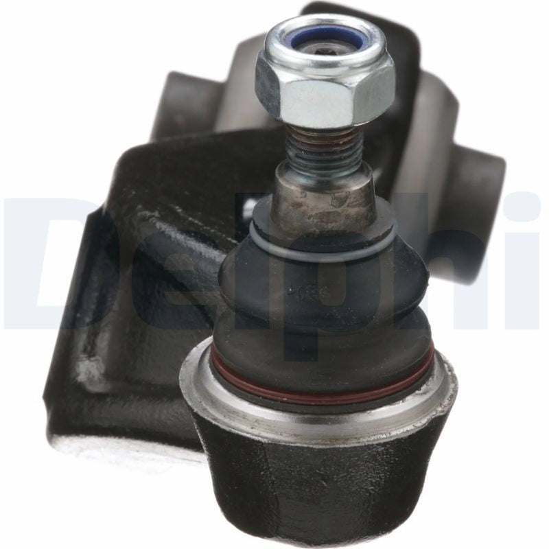 Delphi Control/Trailing Arm Rear TC7841