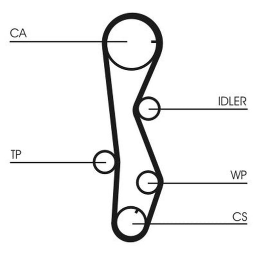 Continental CTAM Timing Belt Cambelt 123 Teeth CT1099