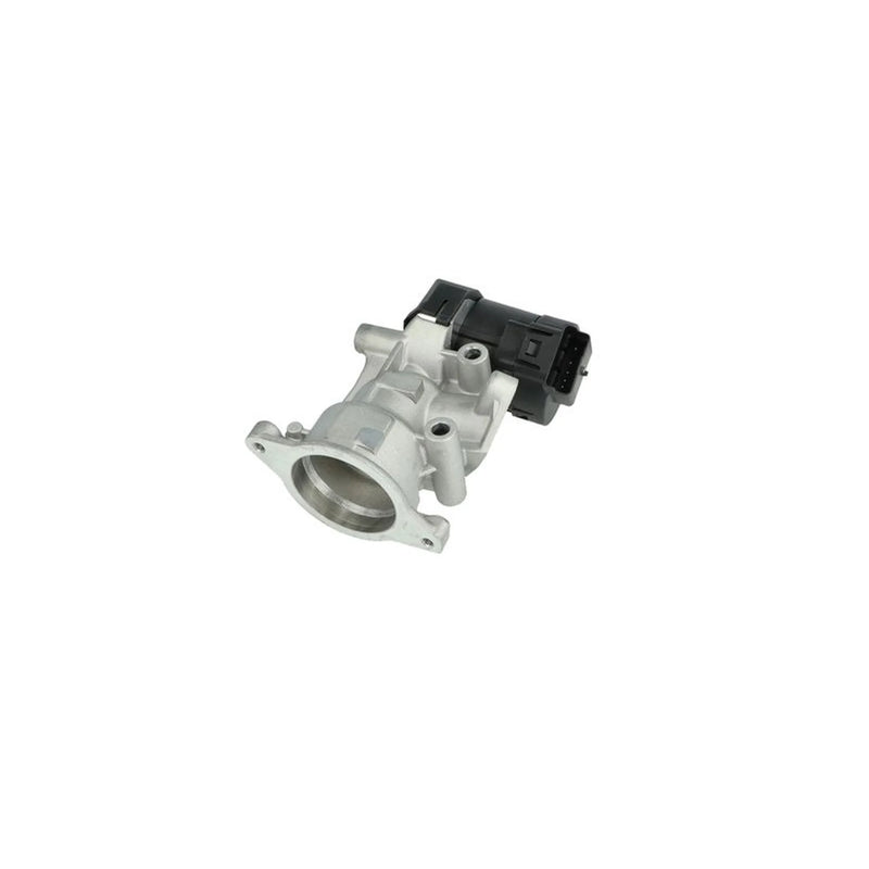 NRF Exhaust Gas Recirculation Valve 48398