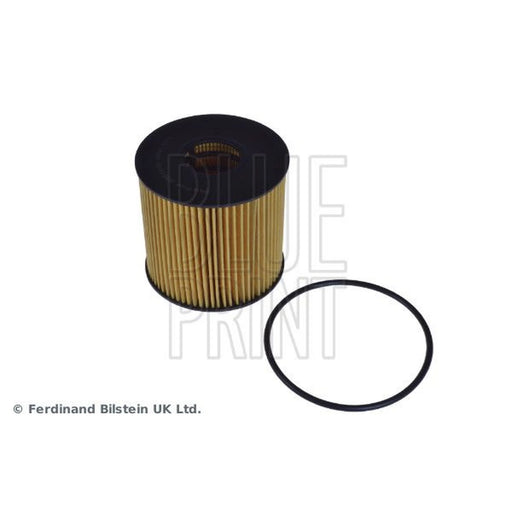 Blue Print Engine Oil Filter ADN12120