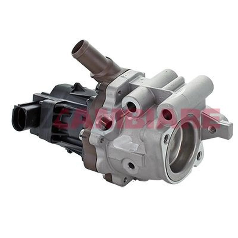 Cambiare Exhaust Gas Recirculation Valve VE360346